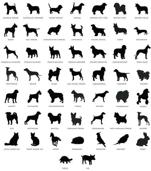 I found this at #moonandlola! - Pet Images