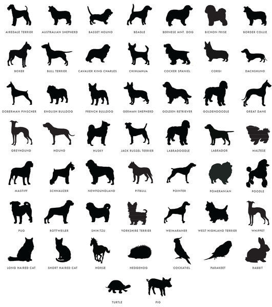 I found this at #moonandlola! - Pet Product Images