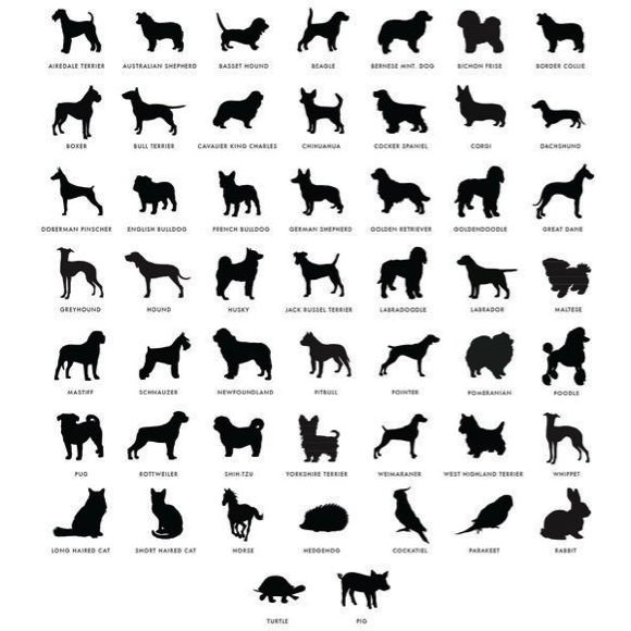 I found this at #moonandlola! - Pet Images